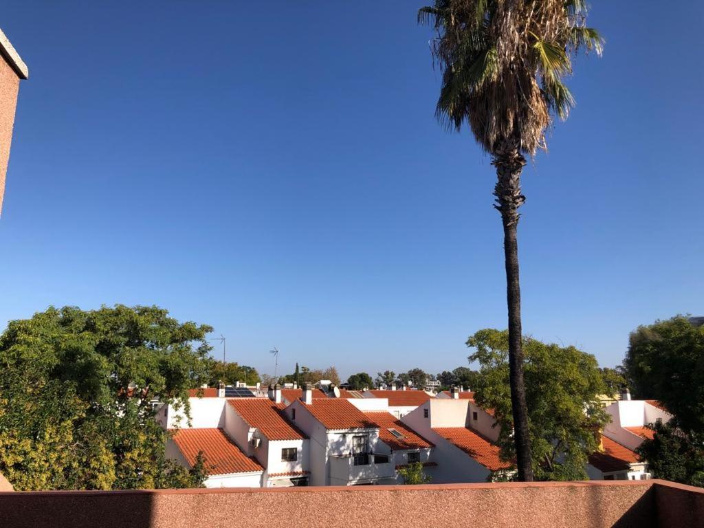 Ferienwohnung Familia Anfitriona Acoge Terraza Sevilla Exterior foto